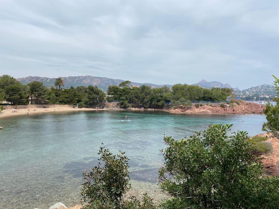 St Raphael 37M2, Piscine, Wifi, Commerces Mer 5Mn A Pieds Saint-Raphaël Екстериор снимка