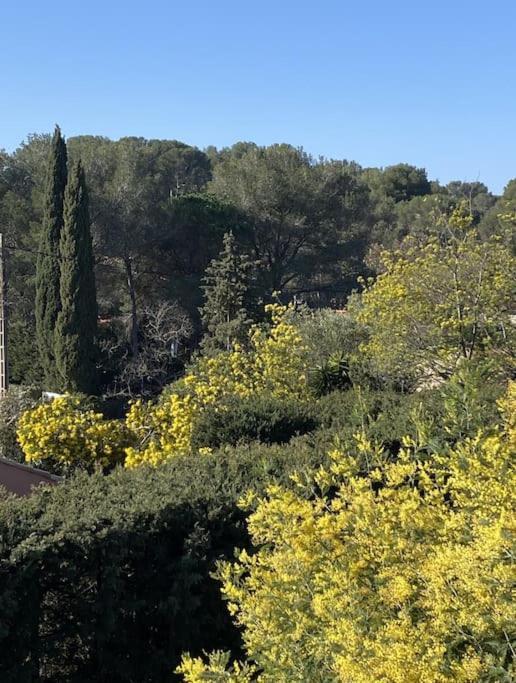 St Raphael 37M2, Piscine, Wifi, Commerces Mer 5Mn A Pieds Saint-Raphaël Екстериор снимка