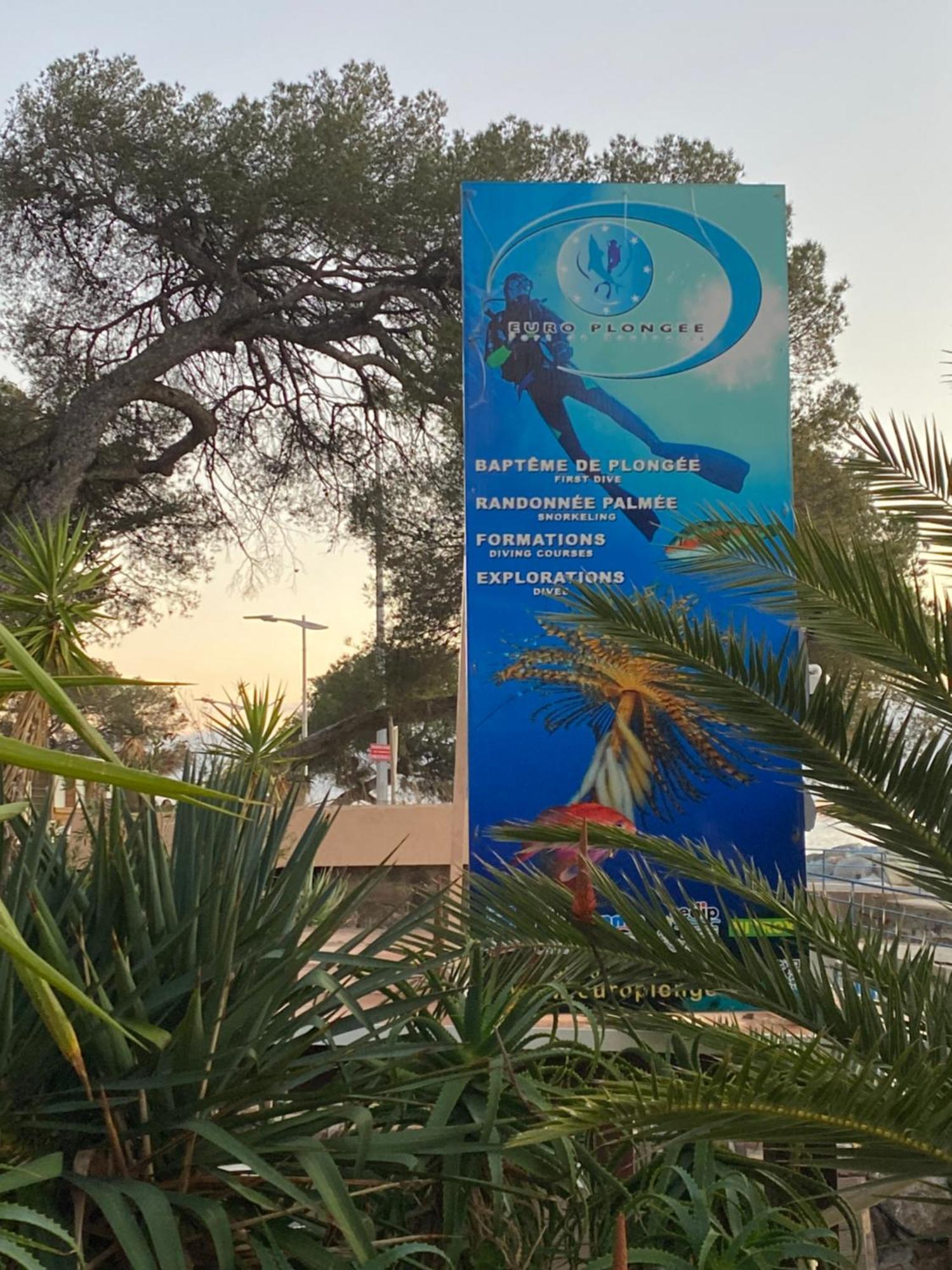 St Raphael 37M2, Piscine, Wifi, Commerces Mer 5Mn A Pieds Saint-Raphaël Екстериор снимка